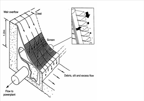 Coanda Intake Screens