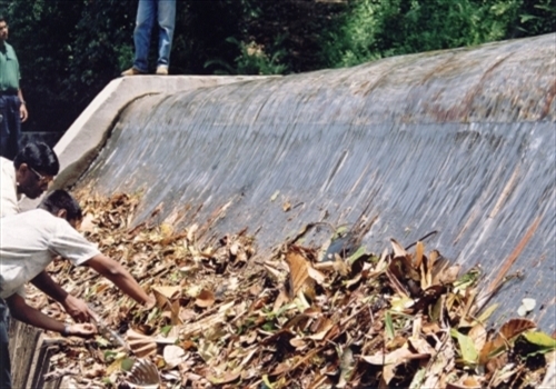 Coanda Intake Screens